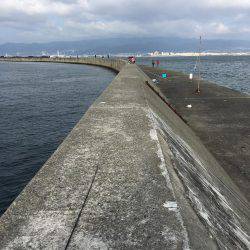 ライトショアジギング