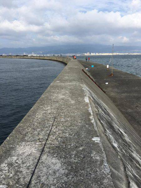 ライトショアジギング