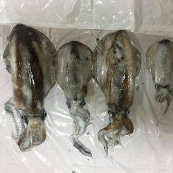 ヤエン時々ロックフィッシング