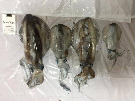 ヤエン時々ロックフィッシング