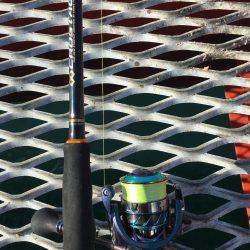 今年最後のエギング…