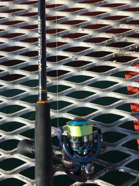 今年最後のエギング…