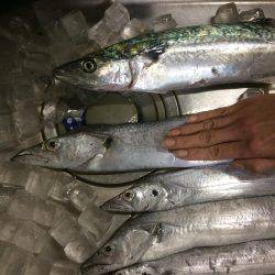 いろいろあって…