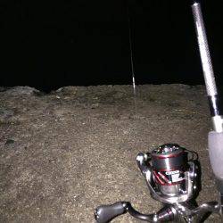 アジング釣行2日目