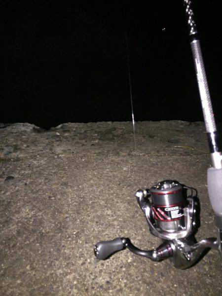 アジング釣行2日目