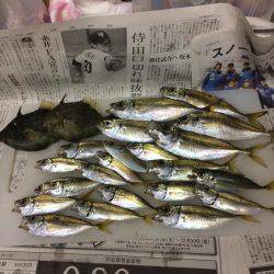カワハギ釣りに行ったのにアジ、
