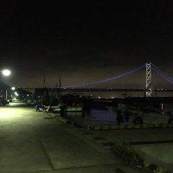 アジング調査 #3