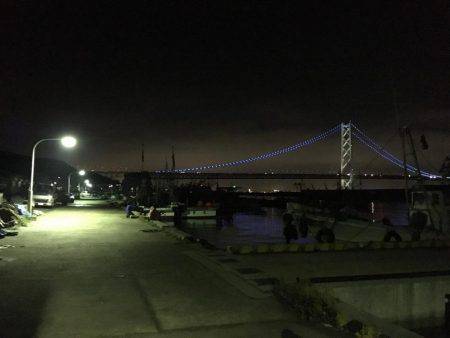 アジング調査 #3