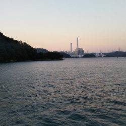 阿南市の大潟岸壁テンヤでタチウオ