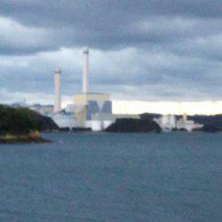 阿南市の大潟岸壁テンヤでタチウオ