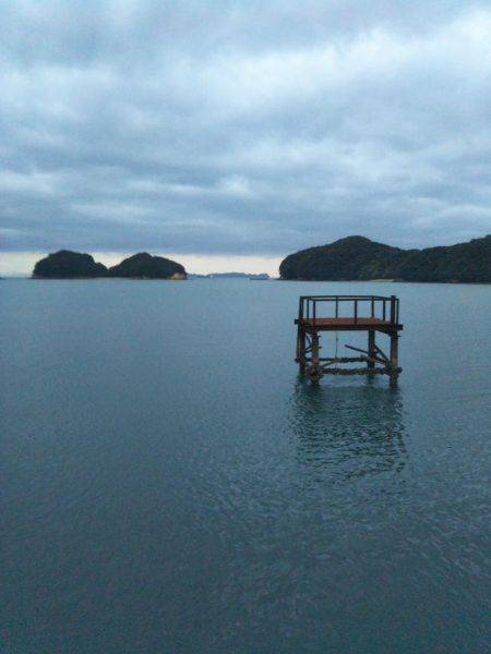 阿南市の大潟岸壁テンヤでタチウオ