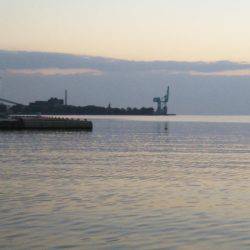 中浦緑地公園、テンヤでタチウオ