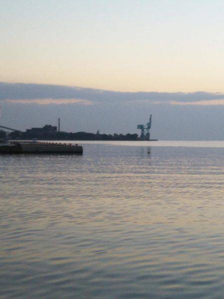 中浦緑地公園、テンヤでタチウオ