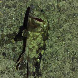 いつもと違うとこに‼