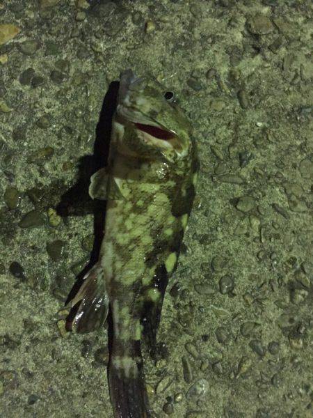 いつもと違うとこに‼