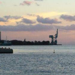 中浦緑地公園テンヤでタチウオ
