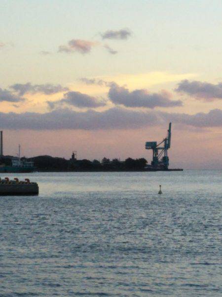 中浦緑地公園テンヤでタチウオ