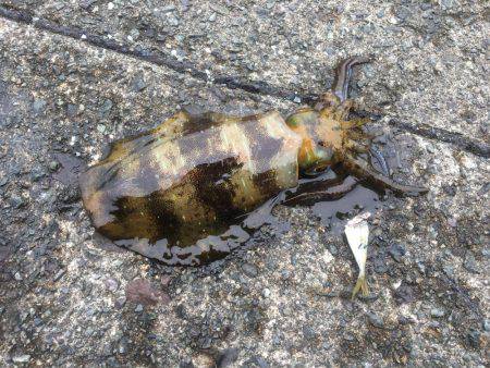 悪天候になる前に