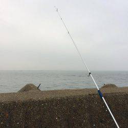 播磨新島で投げ釣り