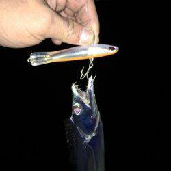 ハードルアー太刀魚楽しい〜