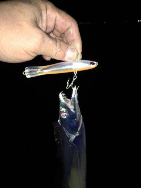 ハードルアー太刀魚楽しい〜