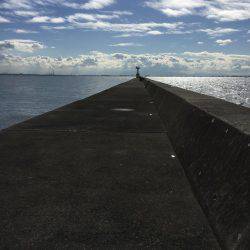 メタルジグにアジ