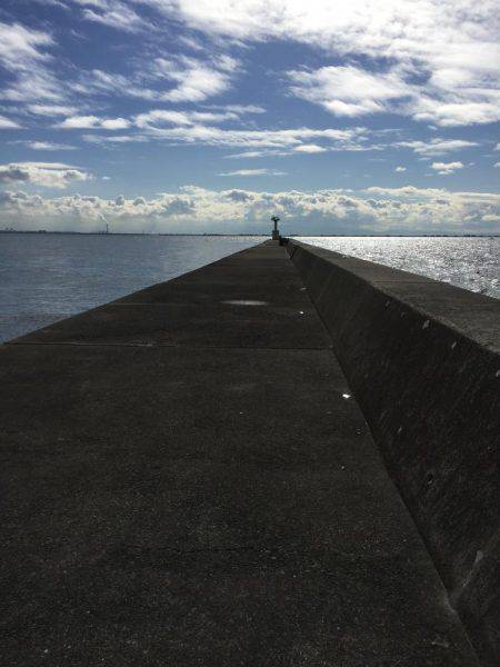 メタルジグにアジ