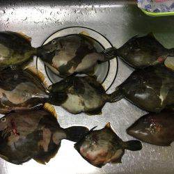 テトラの穴には？！