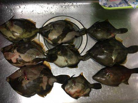 テトラの穴には？！