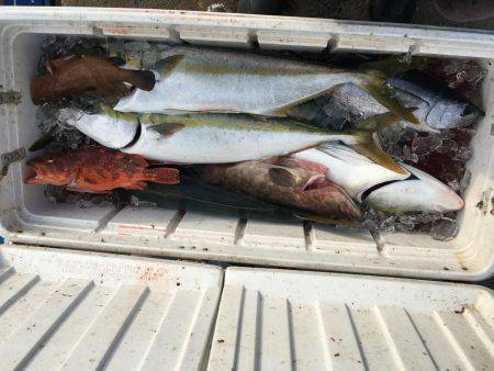 祈願のヒラマサ