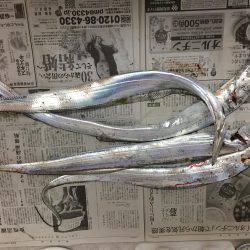 武庫川一文字にて朝練