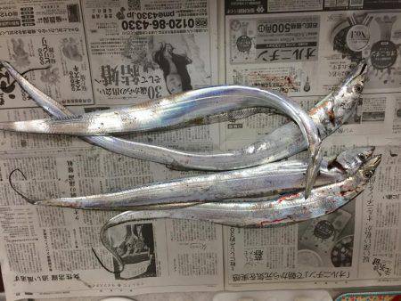 武庫川一文字にて朝練