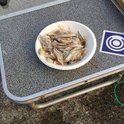 そろそろ終盤かな？？