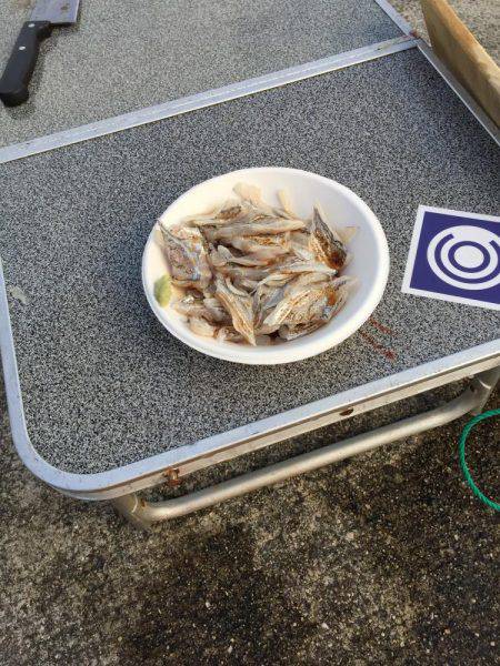 そろそろ終盤かな？？