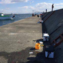 釣り人生一番の大物