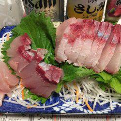 コウイカ ノマセ 近藤丸