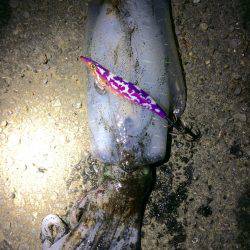 何とかギリギリキロアップ