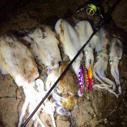 ロッド負傷につき…