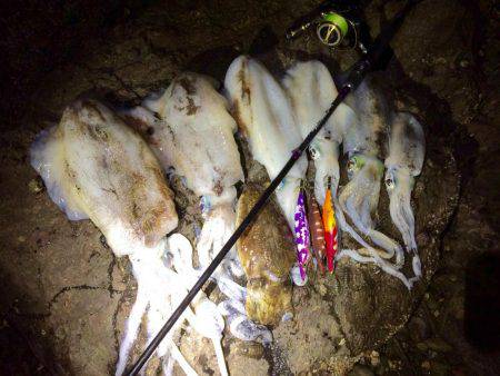 ロッド負傷につき…