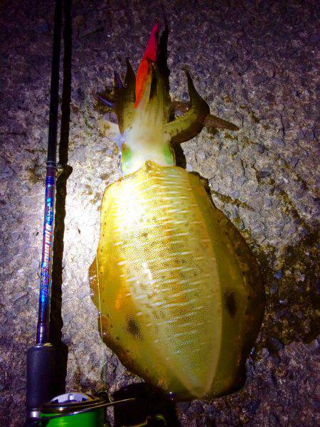 久々のポイントで…