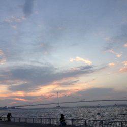 まさかのマゴチ