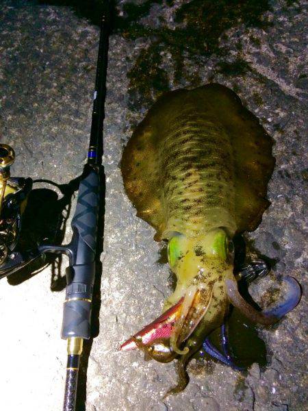 雨の前のエギング