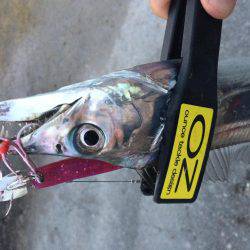 ワインド楽しすぎ!