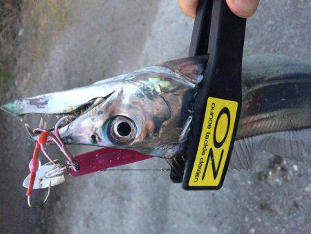 ワインド楽しすぎ!