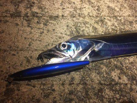 エギングのちタチウオ