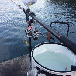 バクチョウからのバクフウ