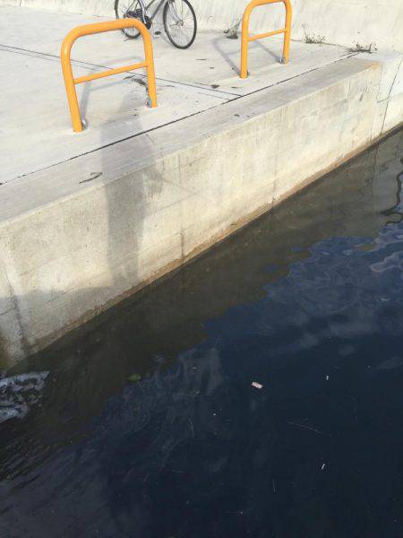 超湾内エギング