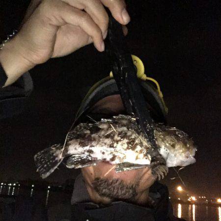 チョットだけアジング…