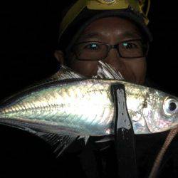 オールナイトアジング