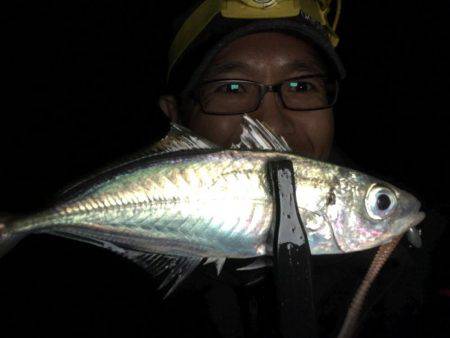 オールナイトアジング